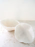 decor coral dish shape